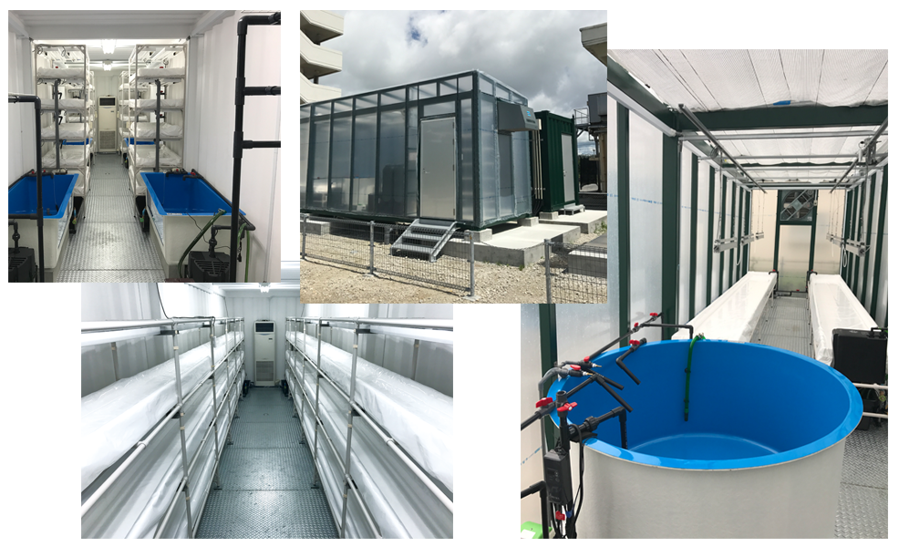 Facility Construction