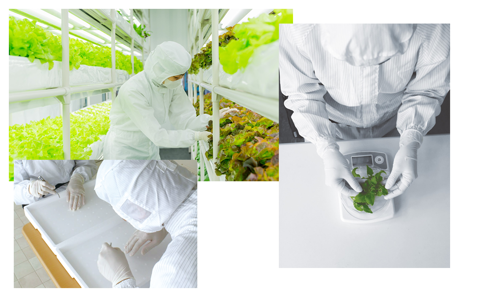 商業施設併設型植物工場